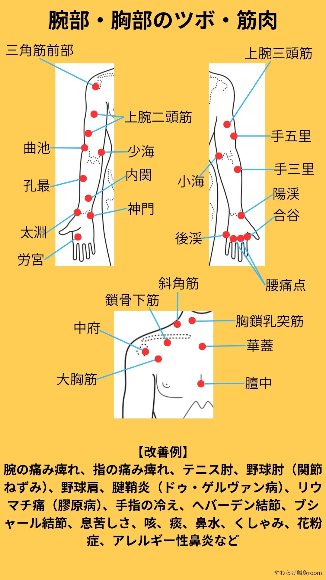 腕部・胸部のツボと筋肉
