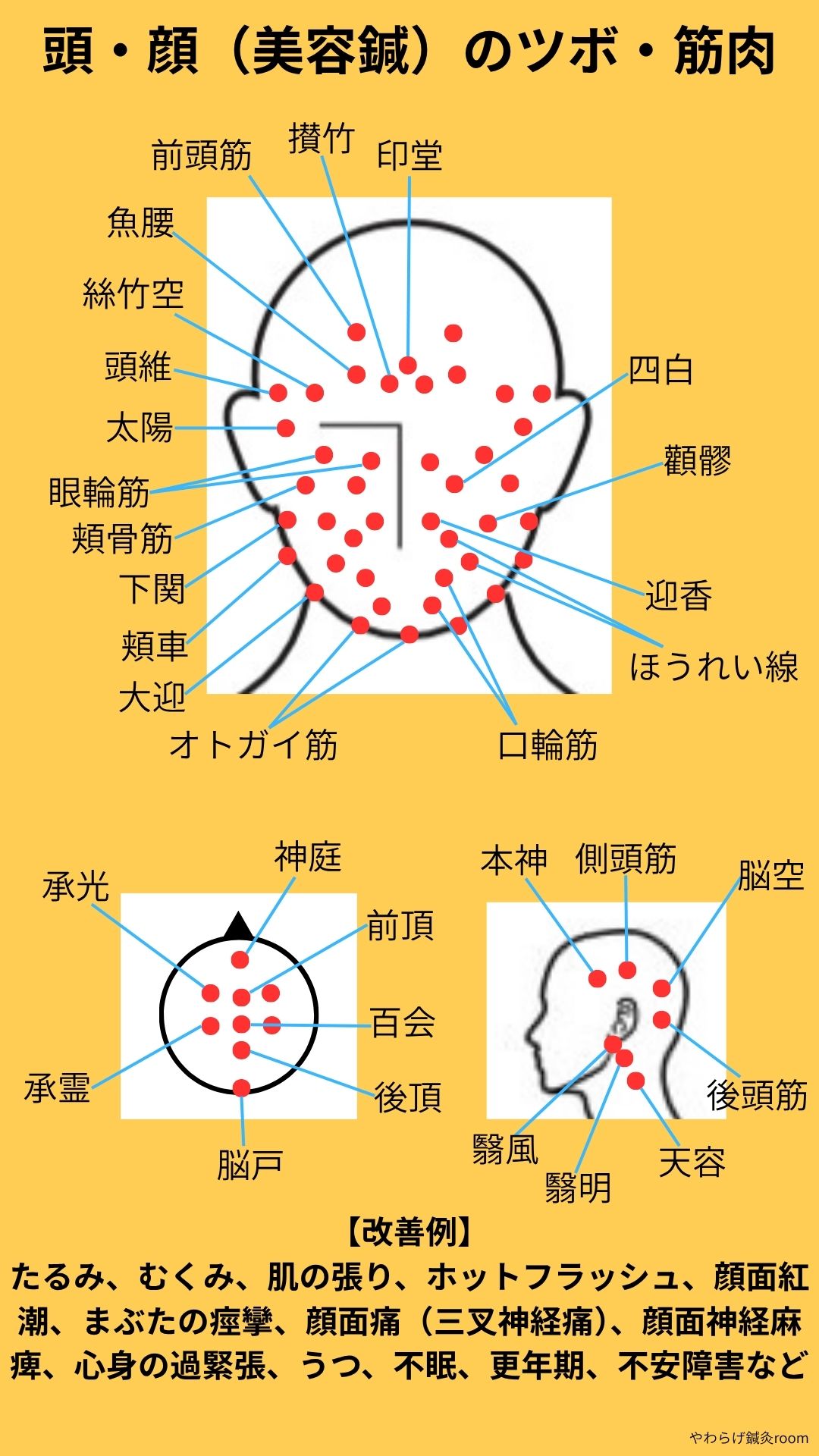頭・顔(美容鍼)のツボと筋肉