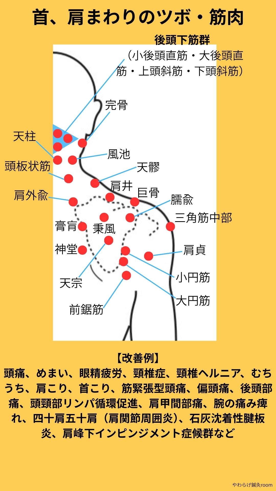 首・肩まわりのツボと筋肉